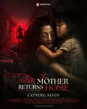 The Night Mother Return Home